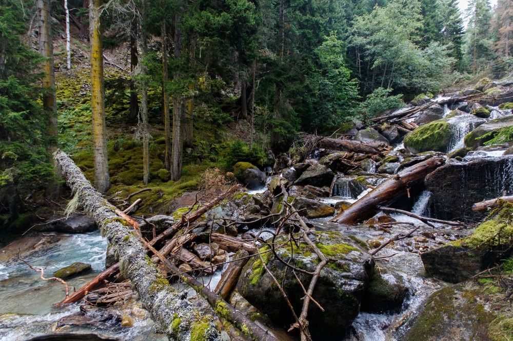 Photograph by Полина Зенькович