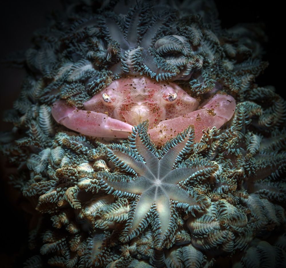 Photograph by Андрей Савин