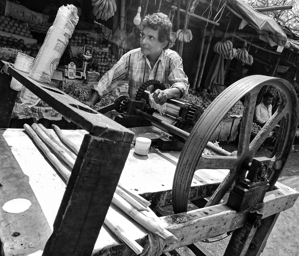 Photograph by Soumyadeep mondal