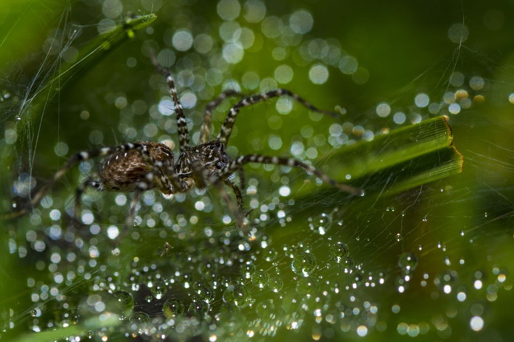 Photograph by Sameer Bhalekar