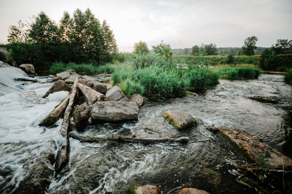 Фотография автора Паша Петров