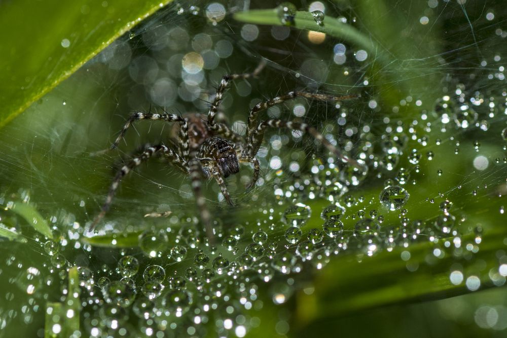 Photograph by Sameer Bhalekar