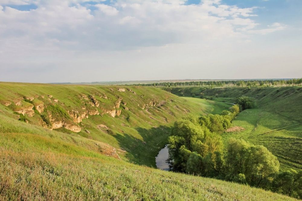 Photograph by Александр Карасев