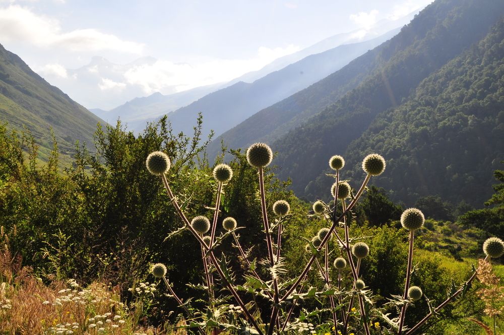 Photograph by Заурбек Шахмурзаев