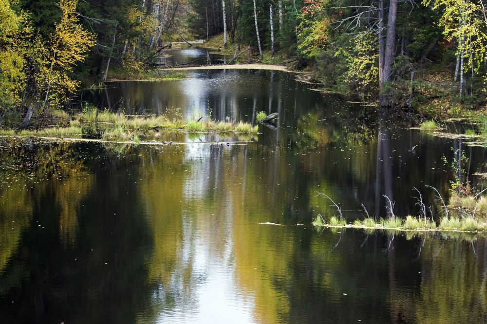 Photograph by Мария Самоловова