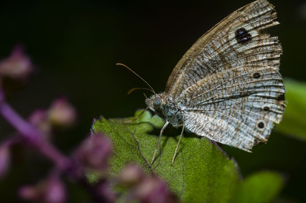 Photograph by Sameer Bhalekar