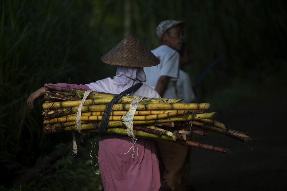 Photograph by Sigit Pamungkas