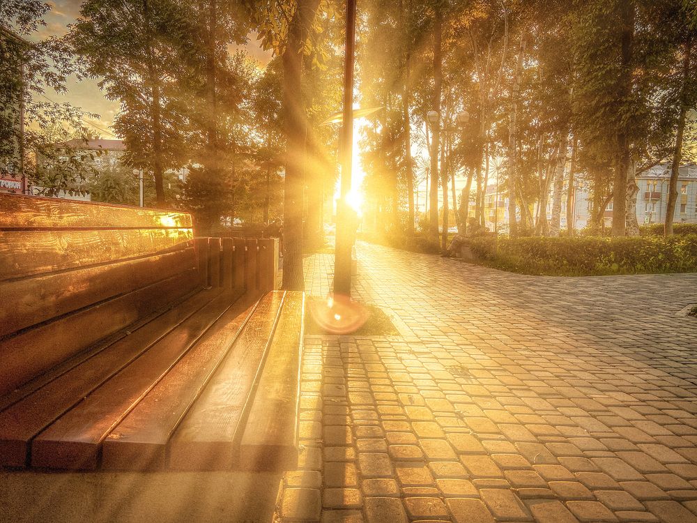 Фотография автора Маргарита Басова