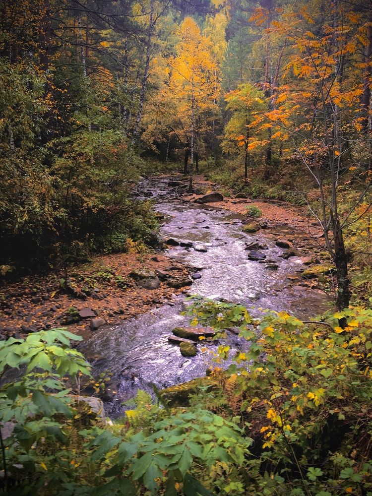 Photograph by Анастасия Полищук