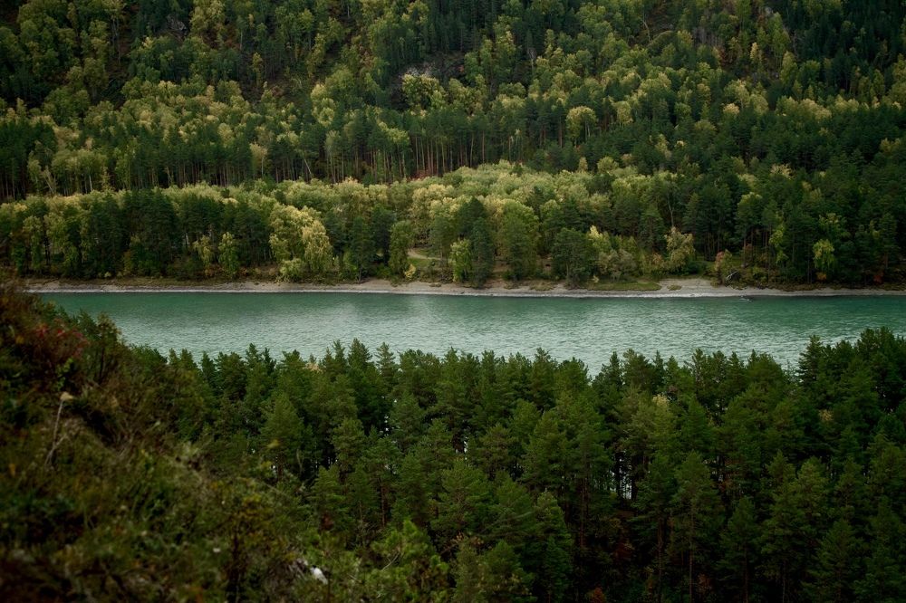 Photograph by Анастасия Полищук