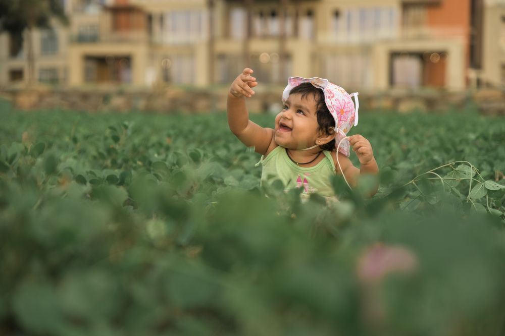 Photograph by Shane Coulton