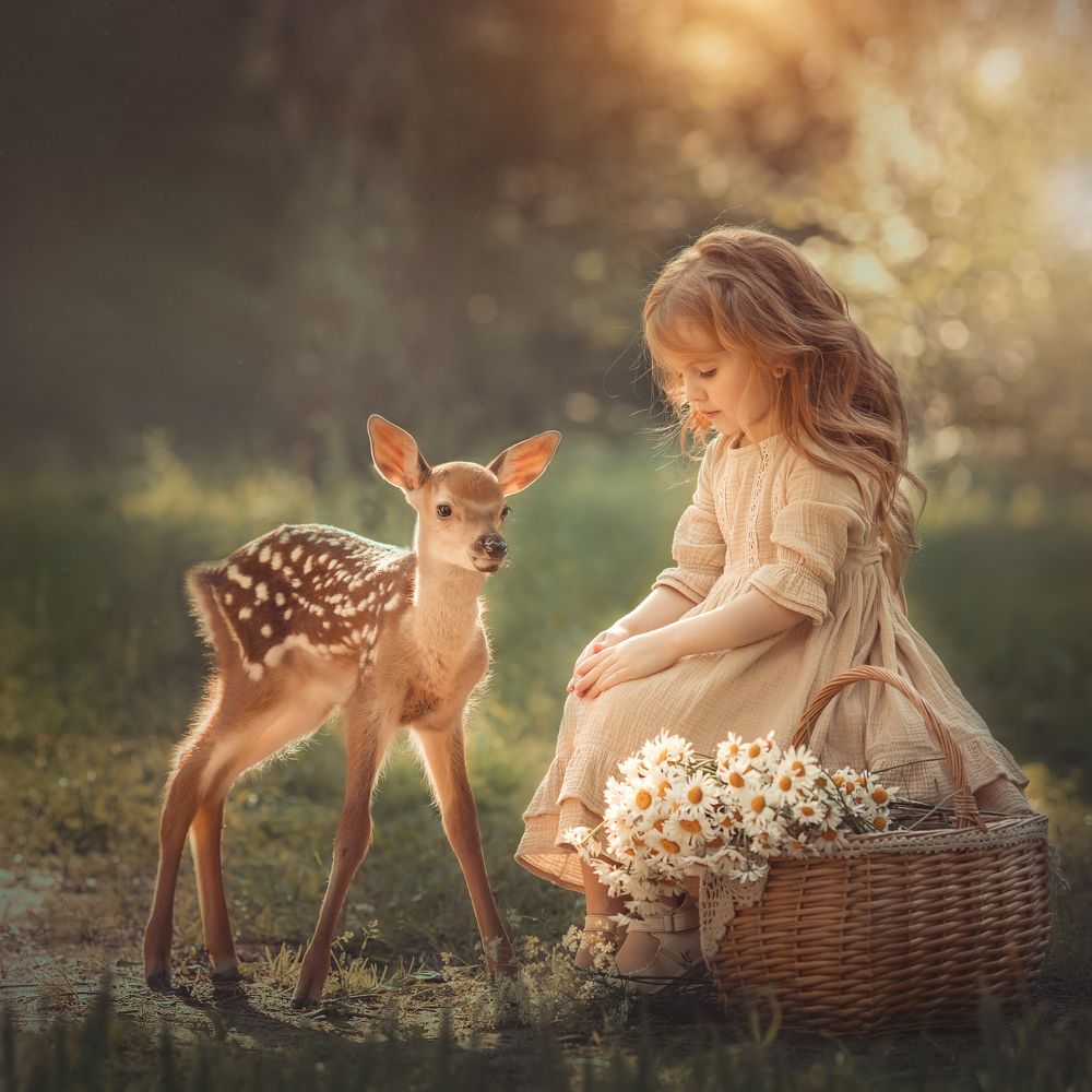 Photograph by Елена Грушецкая