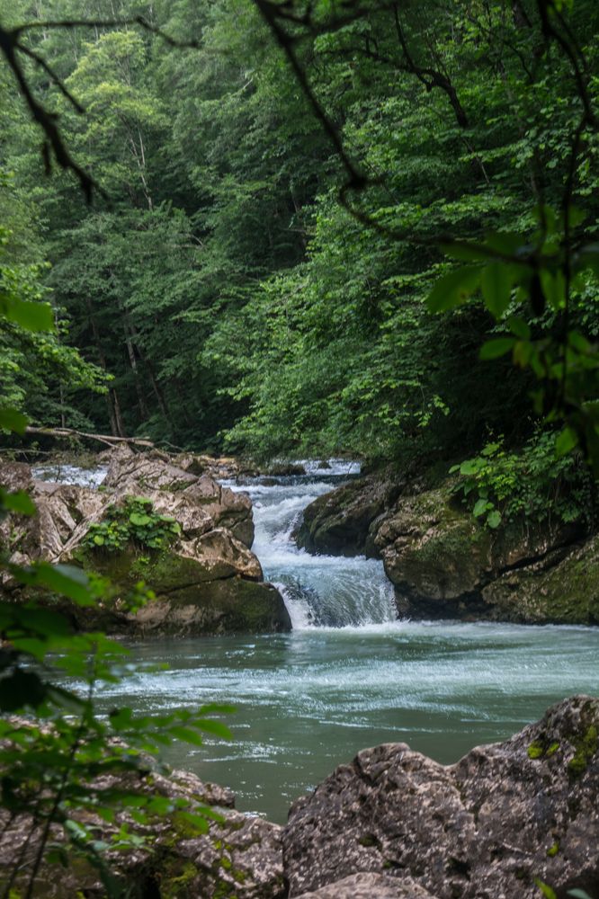 Photograph by Елена Плотникова