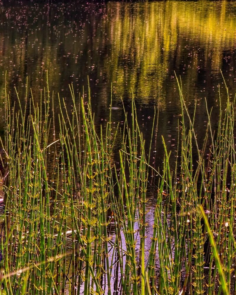 Photograph by Олика