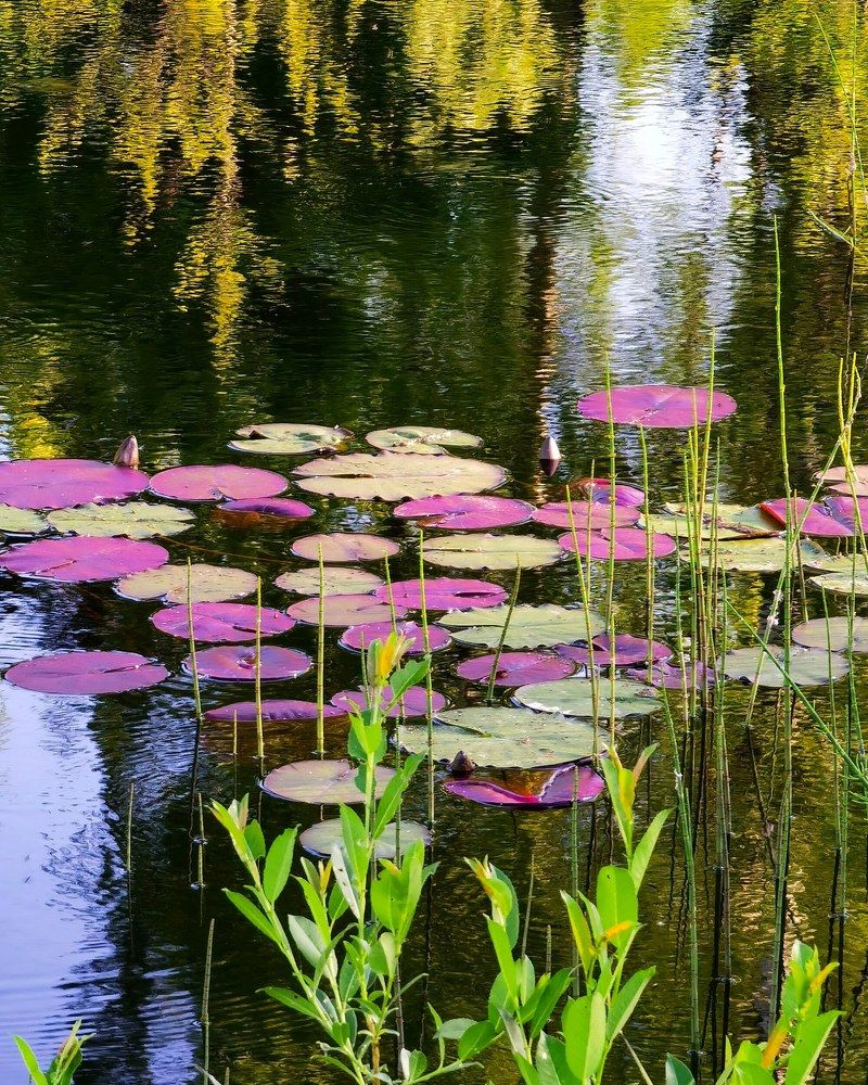 Photograph by Олика