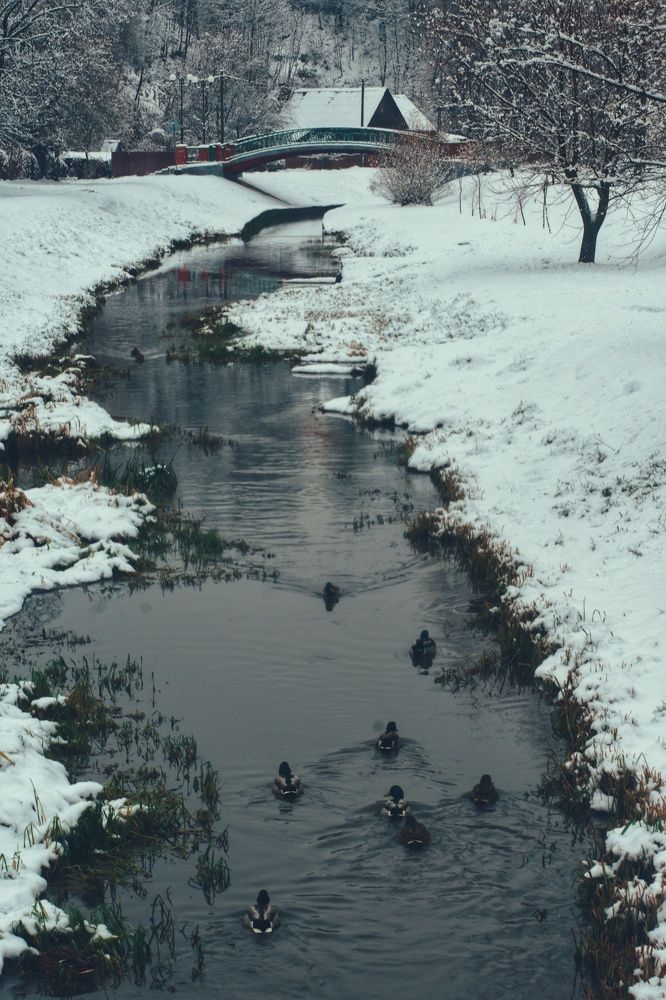 Photograph by Юлия Марфонова