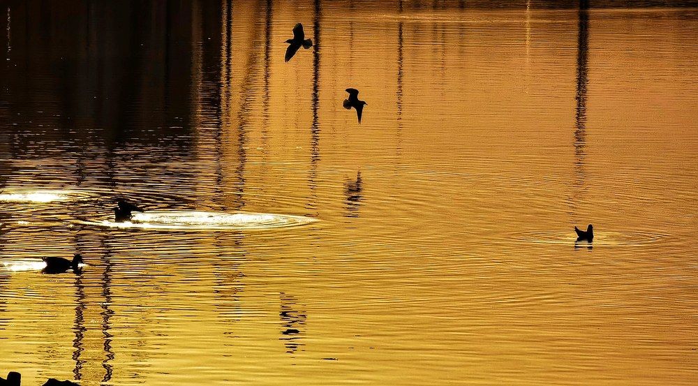 Photograph by Олика