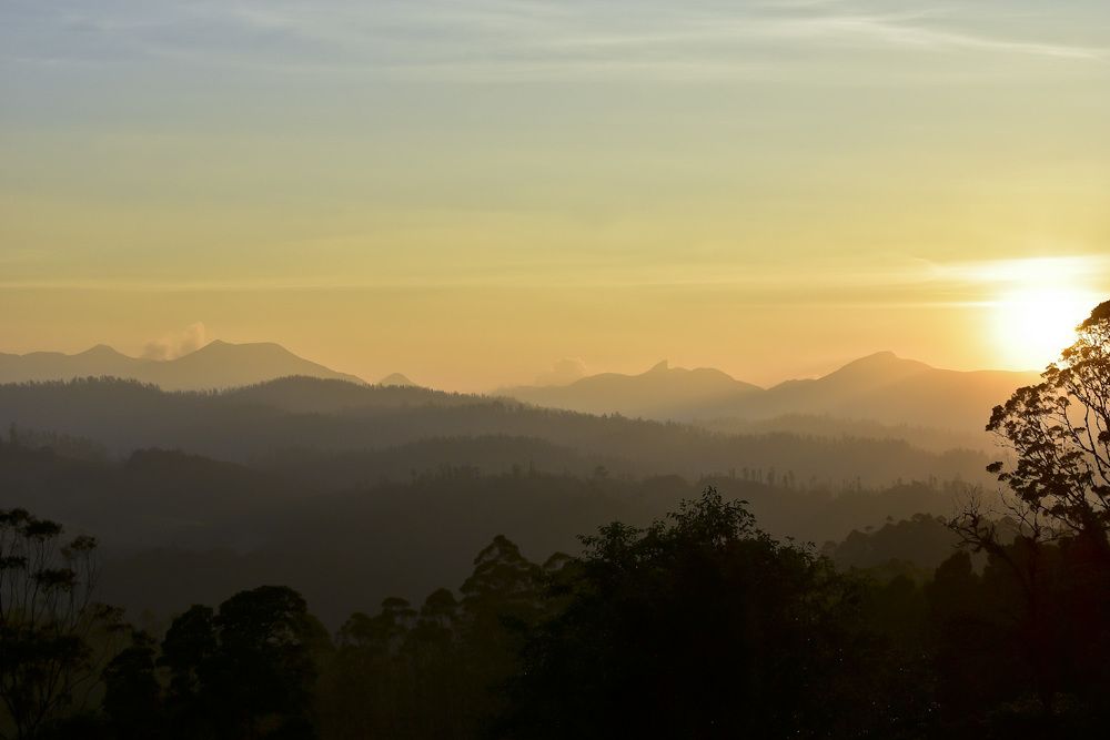 Photograph by Abdulla Atyeb