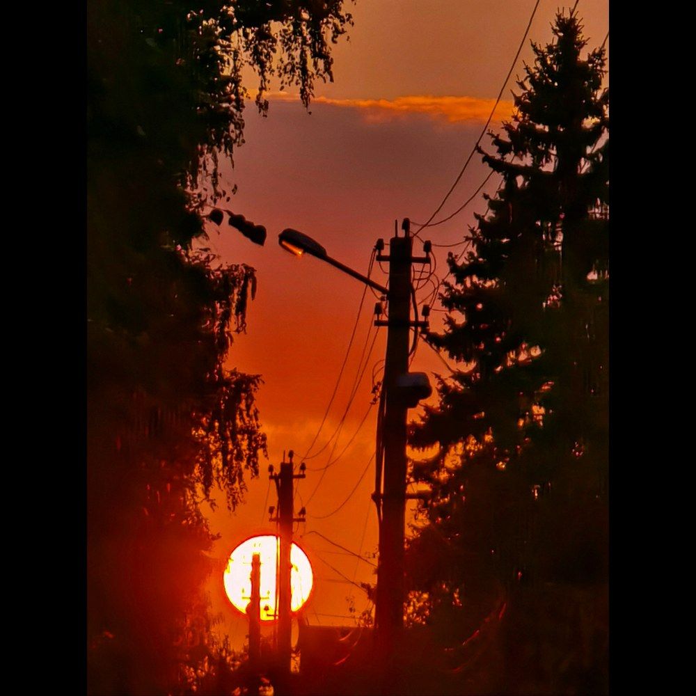 Photograph by Ольга