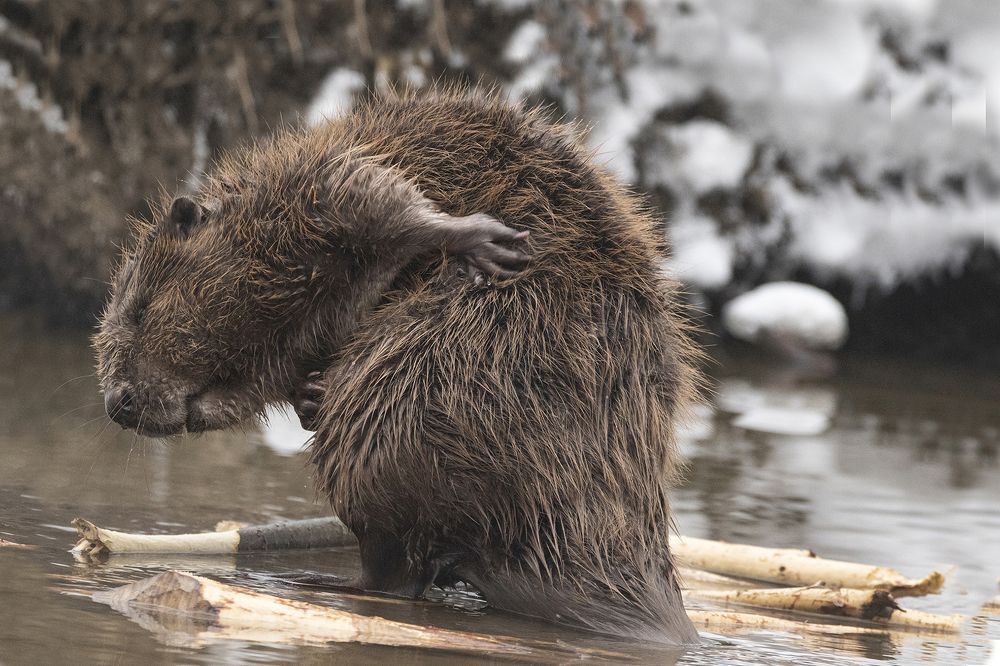 Утренний уход