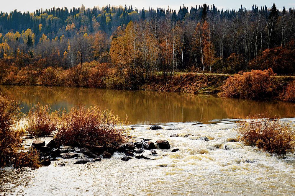 Photograph by Юлия Сурикова