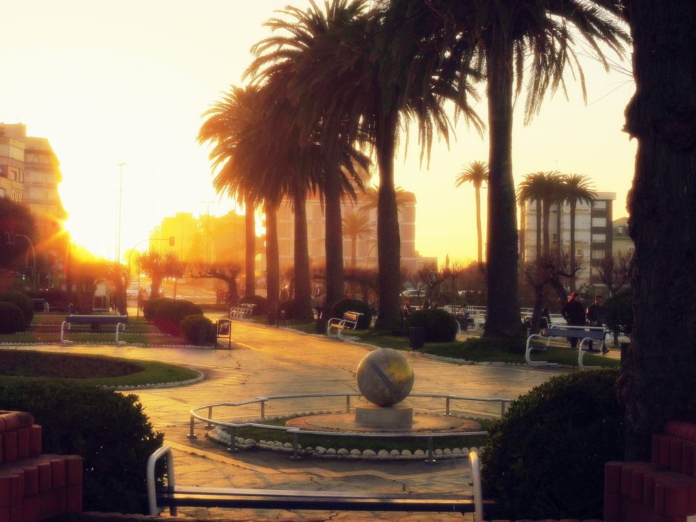 Photograph by Erika Dr Antalics