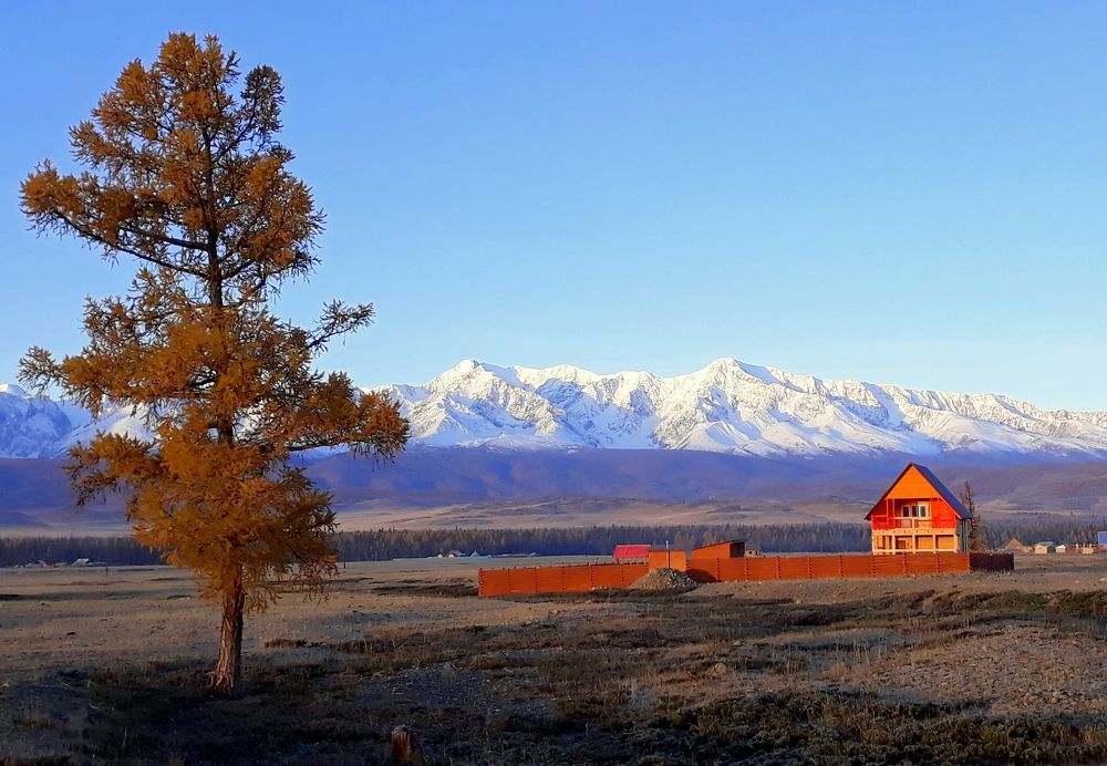 Оранжевый домик