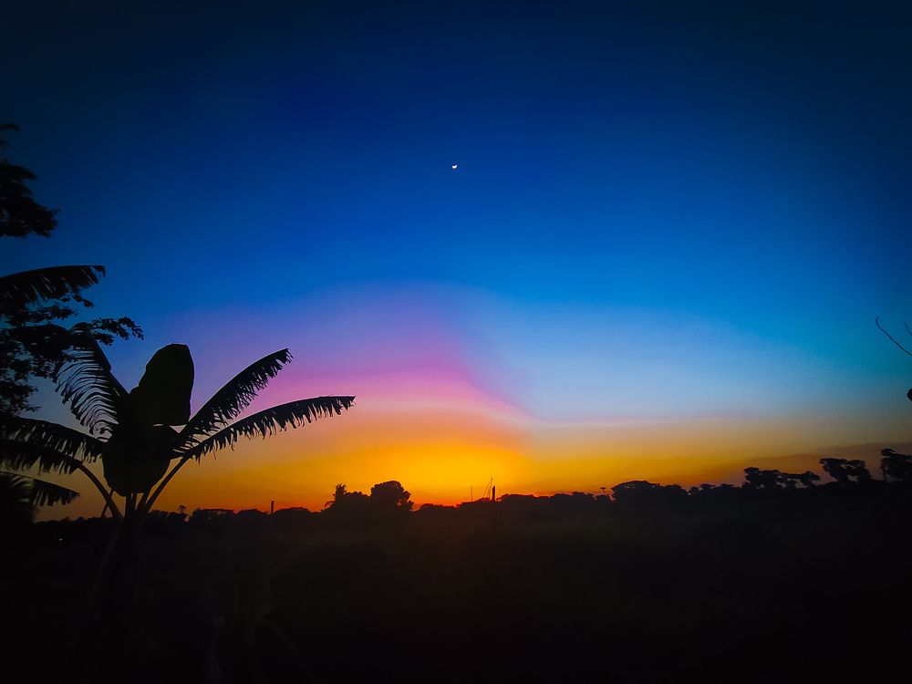 Beautiful Nature