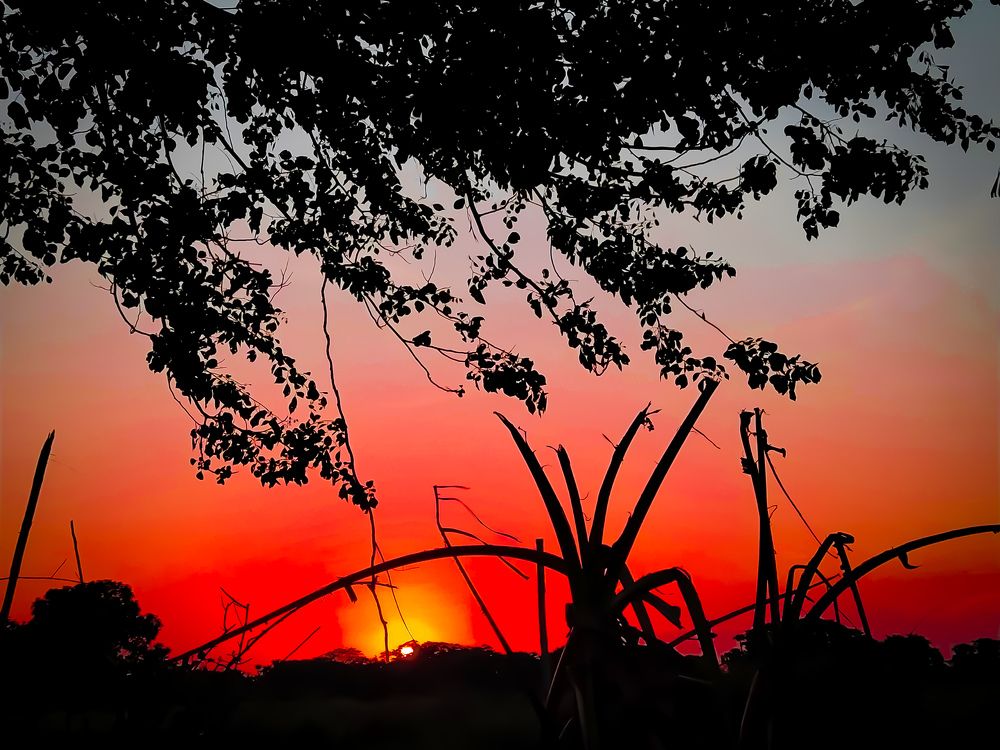 Photograph by Rasmi Ranjan Patra