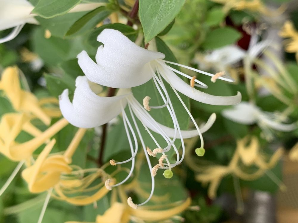 Photograph by Александр Бурлак