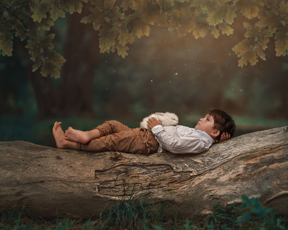 En la quietud del bosque