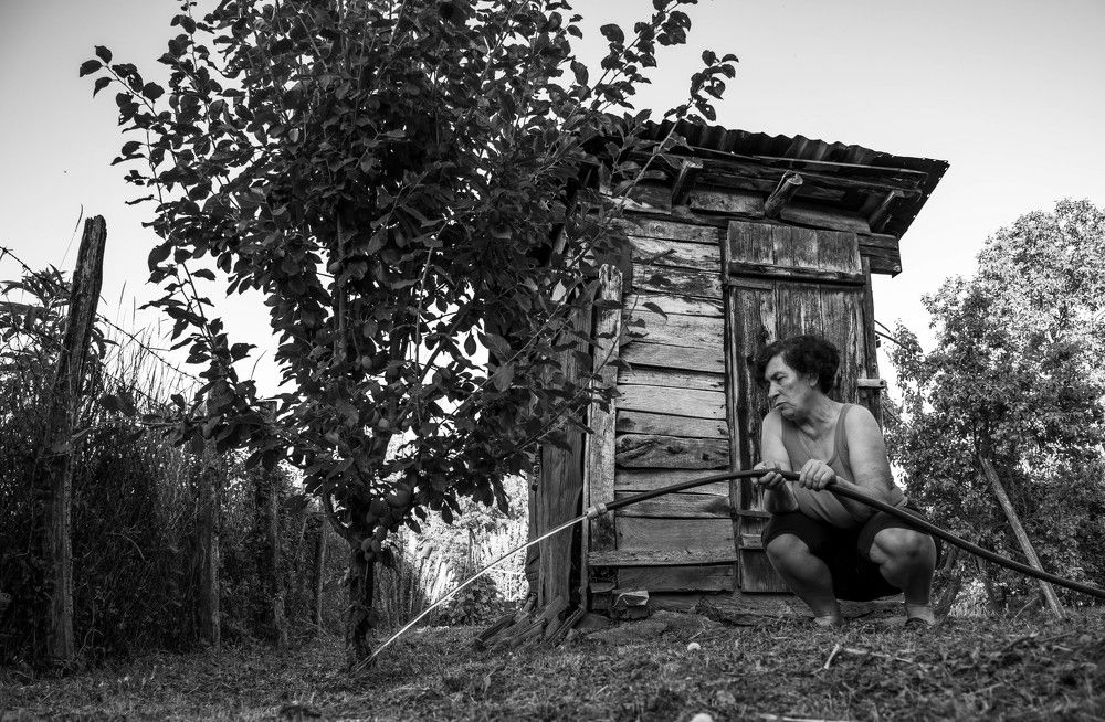 A woman waters plums