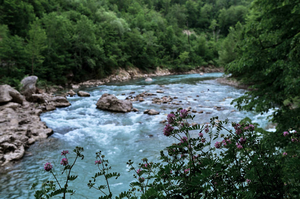 Photograph by Екатерина Кобальнова