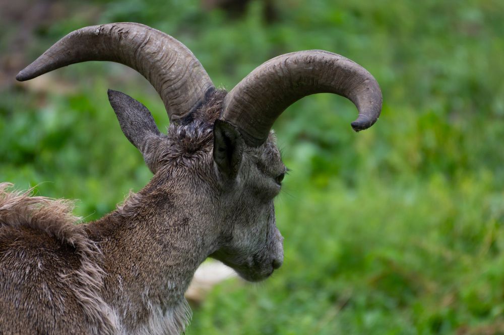 Photograph by Диана Докучаева