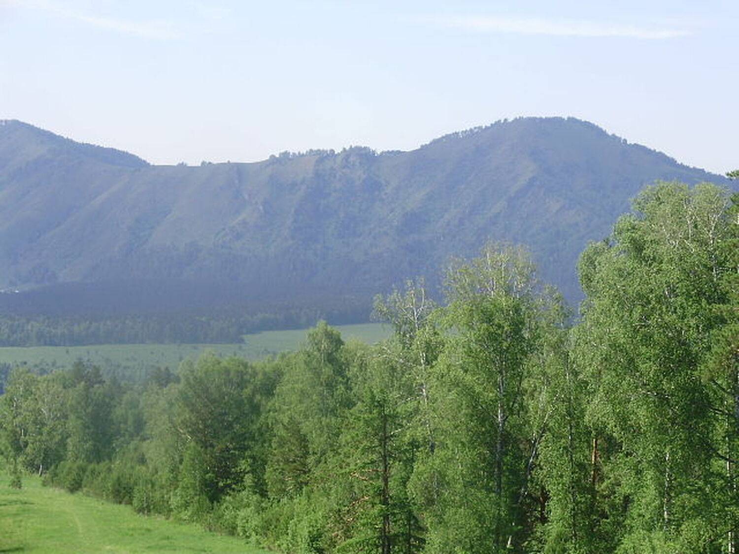 Photo #6262233