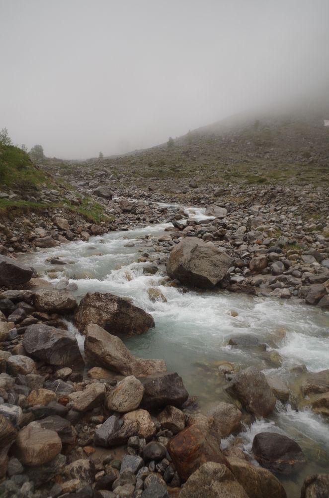 Photograph by Галина Григорьева