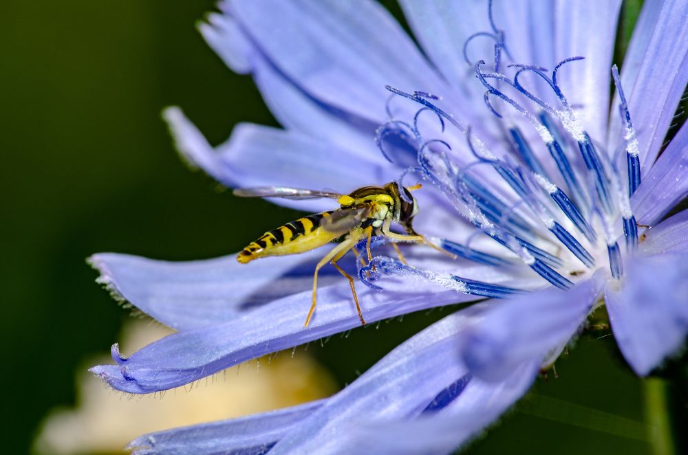 Photograph by Виталий Маслов