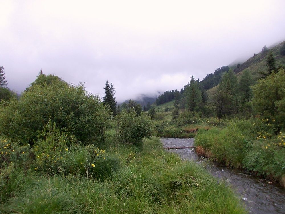 Photograph by Снежана Шепель