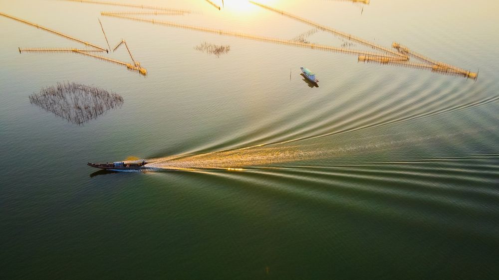 Photograph by Linh Hà Vũ