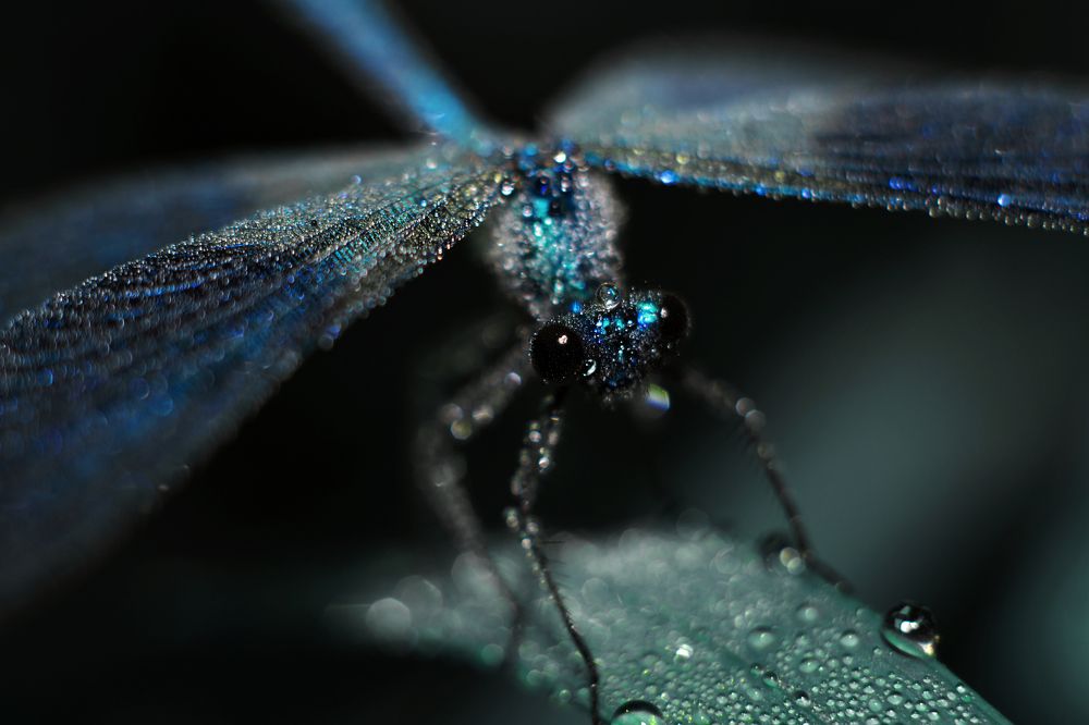 Photograph by Никита Овсянников