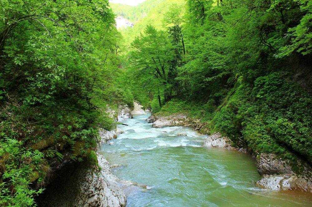 Photograph by Ирина Дмитриенко