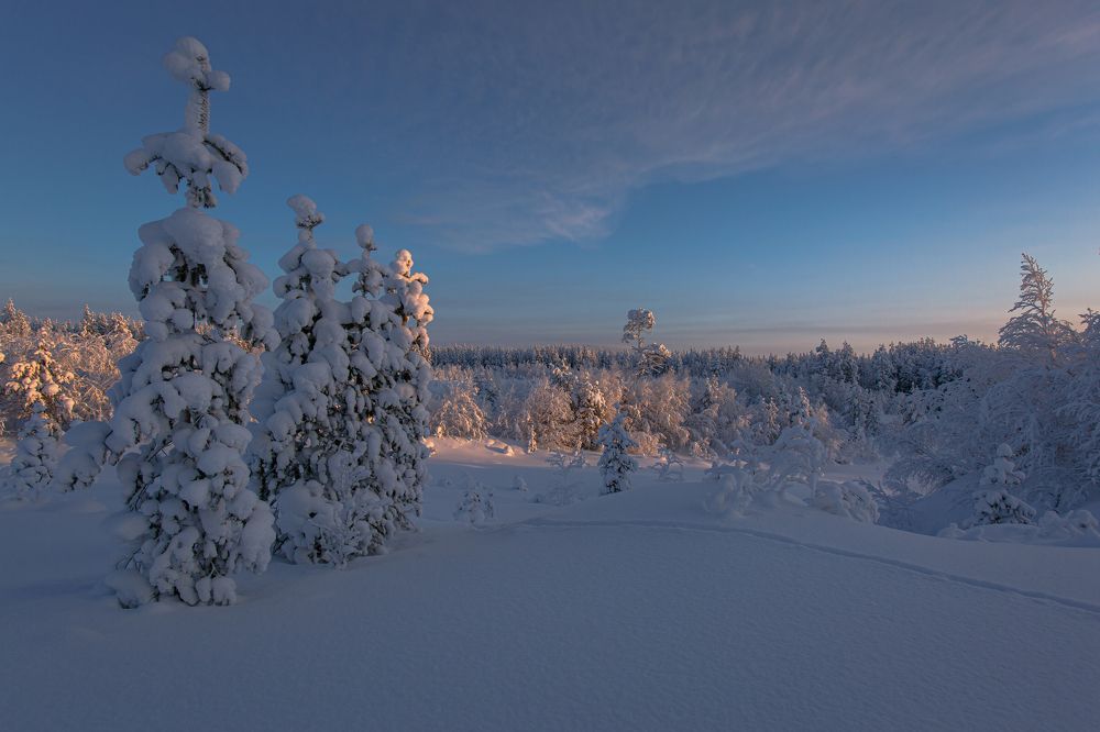 Морозное утро, Ловозерский район