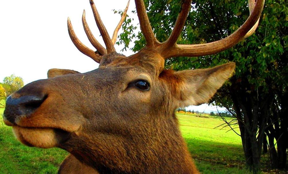 Photograph by Ольга Рогозина