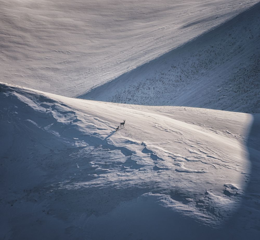 Photograph by Евгений Антонов