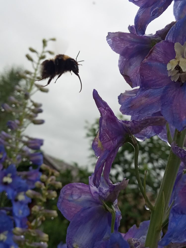 Photograph by Любовь Шаврина