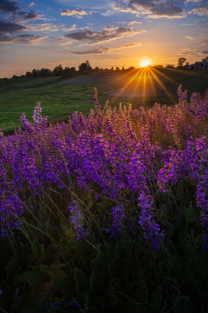 Photograph by Сергій Радчук