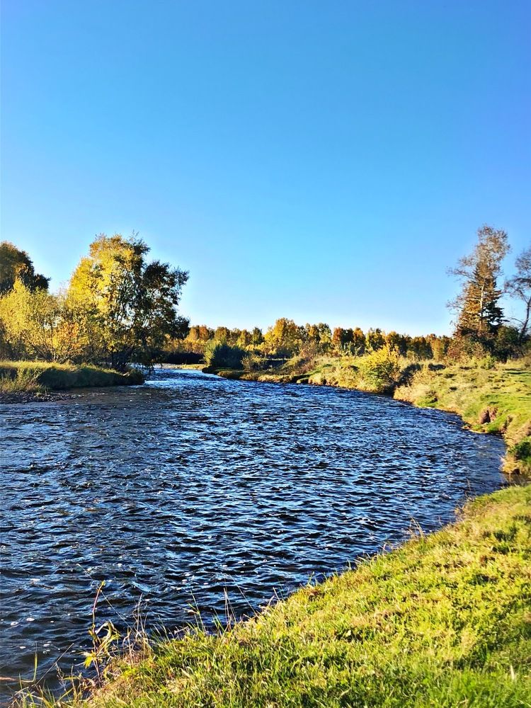 Photograph by Наталья Анцева