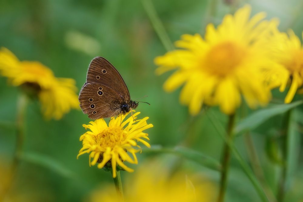 Photograph by Владислав Никишин