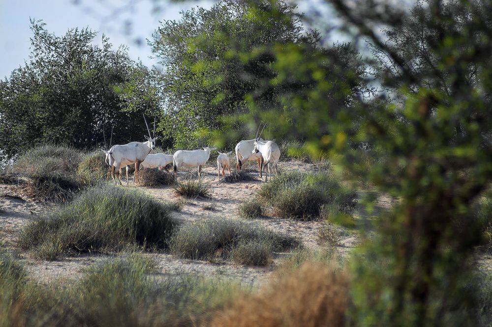 Photograph by Oxana Berezovskaya