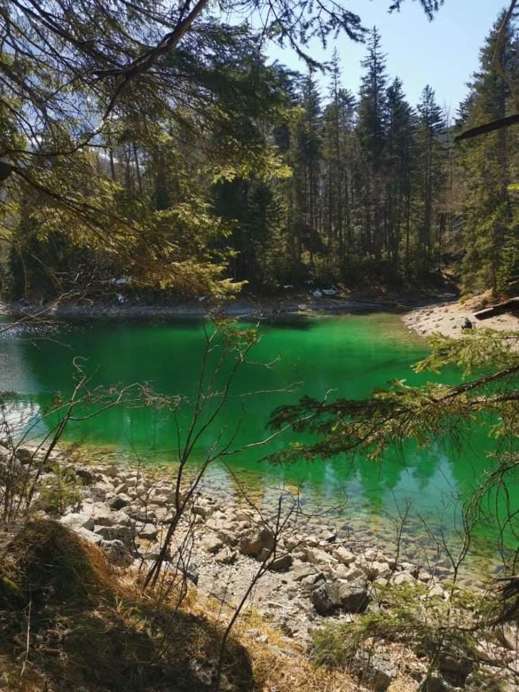 Photograph by Элина Антониаду